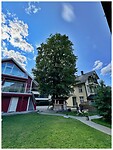 IMG_8483