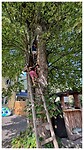 IMG_8489