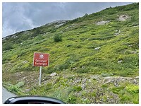 IMG_8705