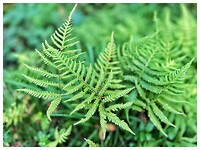 IMG_8837