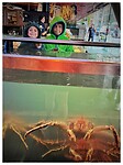 IMG_2885