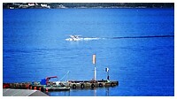 IMG_9246