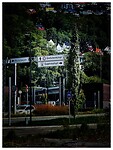 IMG_9249