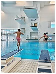 IMG_2910