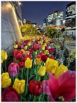 IMG_5664