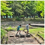IMG_5878