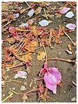 IMG_5912