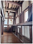 IMG_6247