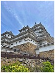 IMG_6255