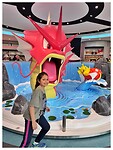 IMG_6381