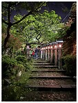IMG_6437