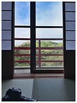 IMG_6465