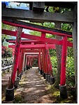 IMG_6512