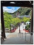 IMG_6521