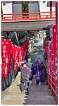 IMG_6541