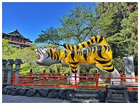 IMG_6545