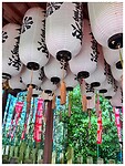 IMG_6551