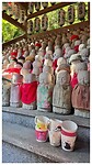 IMG_6557