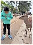 IMG_6605