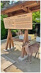 IMG_6615