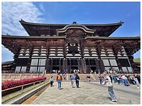 IMG_6623