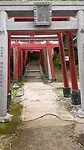 Shigi-san, op weg naar de top