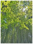 IMG_6674