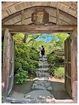 IMG_6698