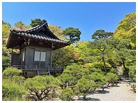 IMG_6704