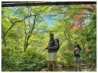 IMG_6705