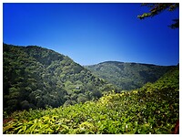 IMG_6706