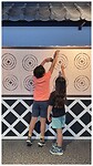 IMG_6771