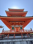 IMG_6817