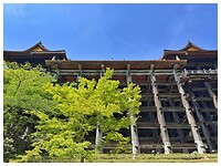 IMG_6844