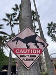 IMG_6938