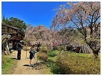 IMG_7186