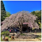IMG_7205