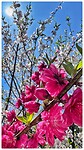 IMG_7213