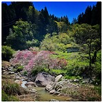 IMG_7246
