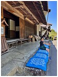 IMG_7247