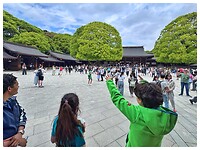 IMG_7458