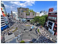 IMG_7504