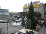StartLjubjlana2