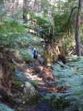 Wilson's promontory hike