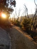 Wilson's promontory net voor zonsondergang