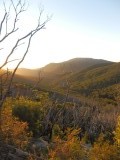 Wilson's Promontory