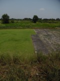 Gras voor de golfbaan