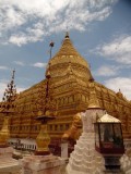 Gouden pagode Bagan