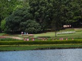 Jonge nonnen in het park