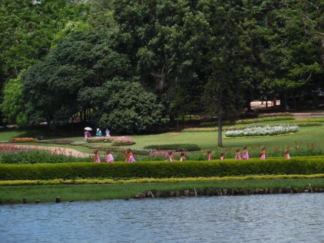 Jonge nonnen in het park